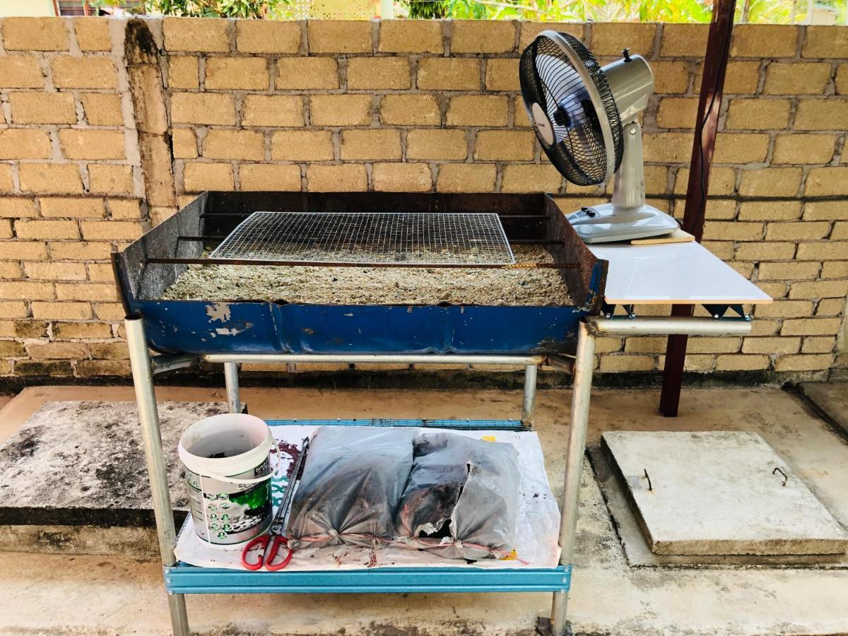 Homestay Tok Abah Dalam Rhu Pasir Puteh Exterior foto